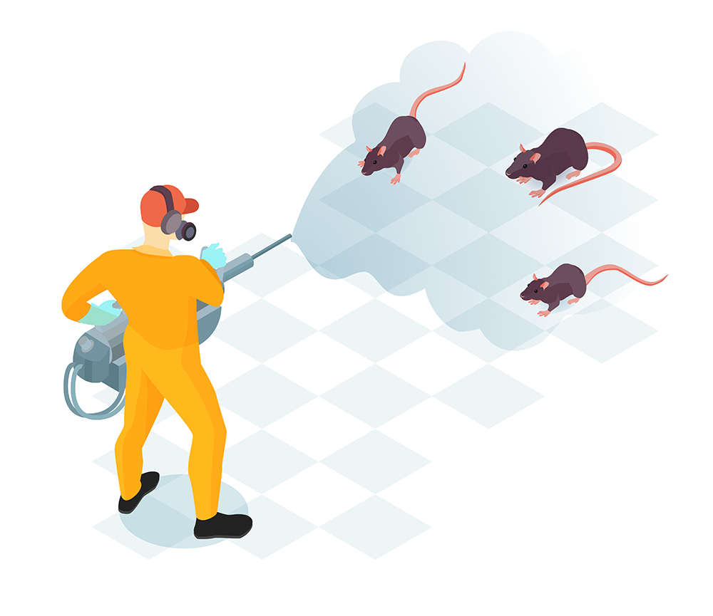 Dératisation maison et ferme : méthodes efficaces pour éliminer durablement rats et souris